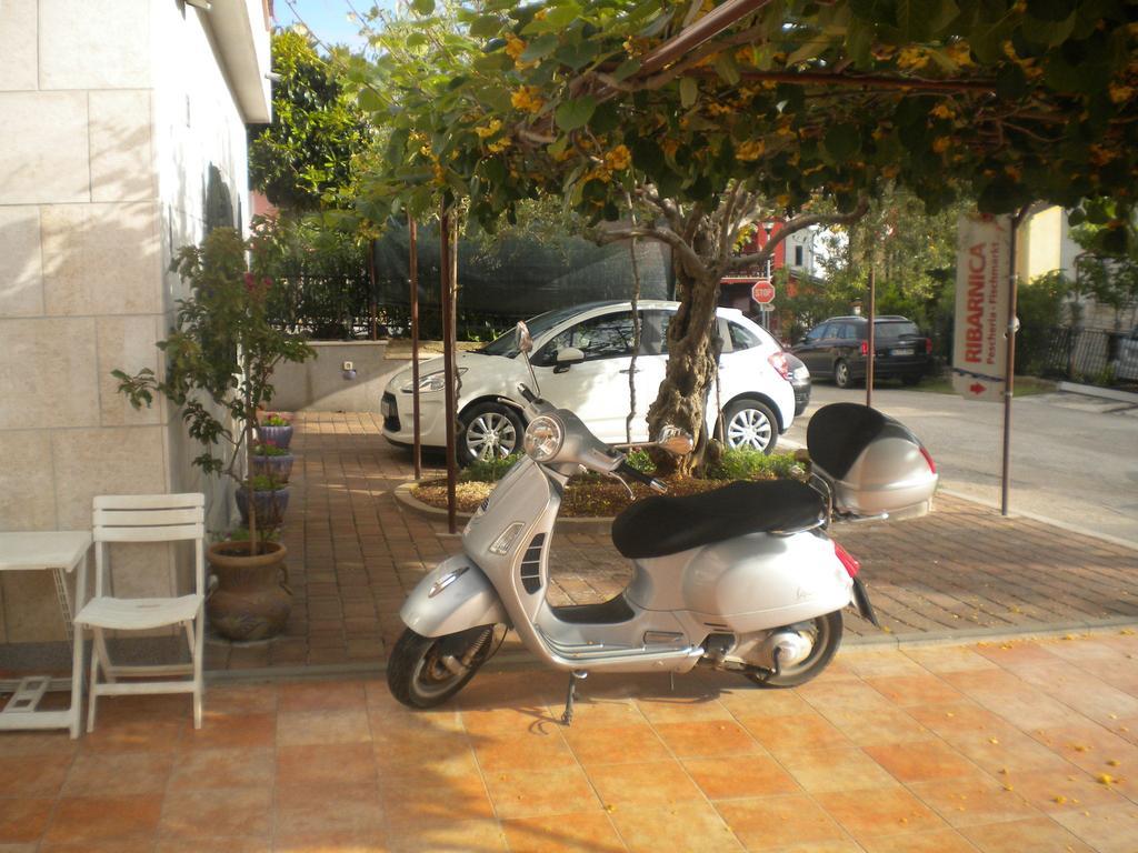 Apartments Miani Novigrad (Istria) Exterior foto